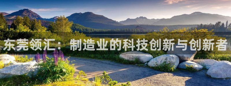 彩神Vll：东莞领汇：制造业的科技创新与创新者