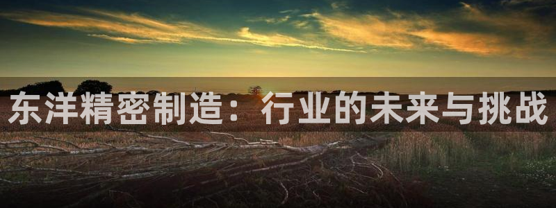 彩神系列平台：东洋精密制造：行业的未来与挑战