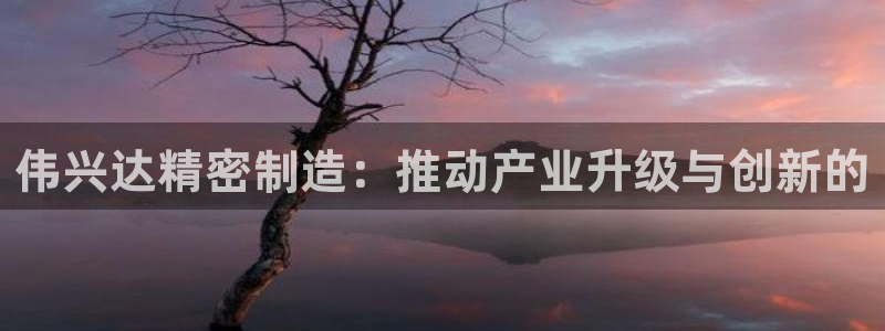 彩神v8app：伟兴达精密制造：推动产业升级与创新的