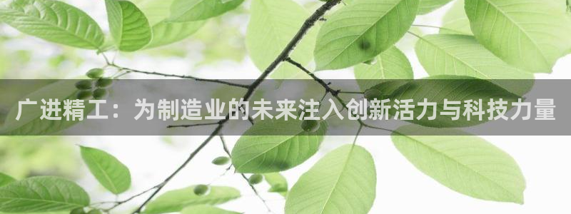 彩神v下载安装：广进精工：为制造业的未来注入创新活力与科技力量