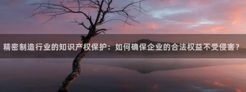 大发彩神最高邀请码：精密制造行业的知识产权保护：如何确保企业的合法权益不受侵害？
