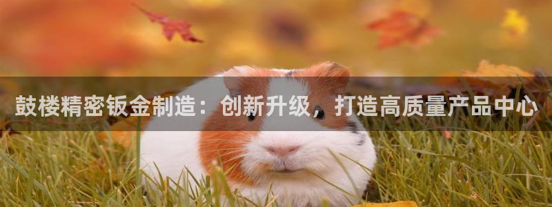彩神V集团有限公司：鼓楼精密钣金制造：创新升级，打造高质量产品中心