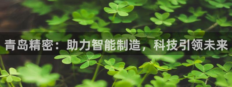 彩神v8购彩大厅登：青岛精密：助力智能制造，科技引领未来