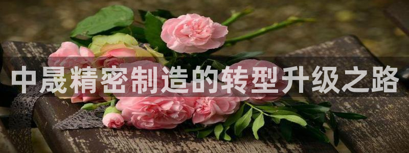 彩神怎么才能赢：中晟精密制造的转型升级之路