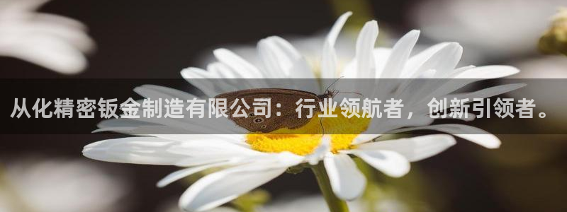 彩神购彩-购彩大厅入