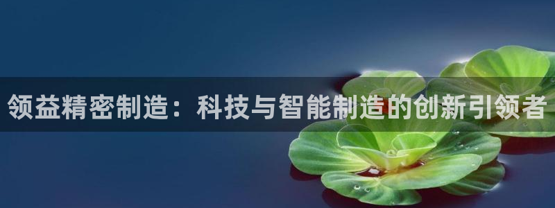 彩神ii官方网：领益精密制造：科技与智能制造的创新引领者
