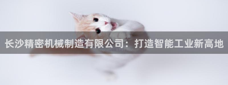 彩神v：长沙精密机械制造有限公司：打造智能工业新高地