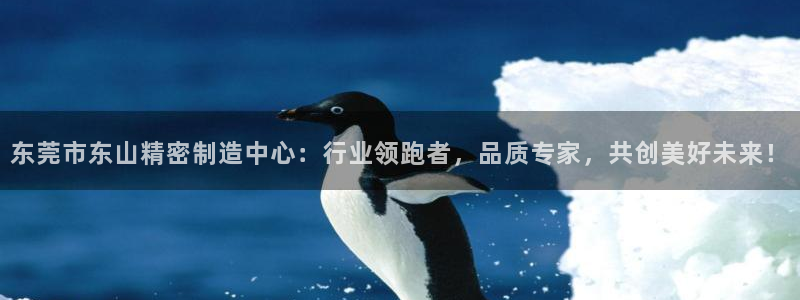 彩神v彩搜狗：东莞市东山精密制造中心：行业领跑者，品质专家，共创美好未来！