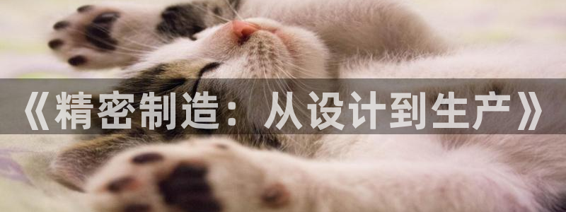 彩神viii官网：《精密制造：从设计到生产》