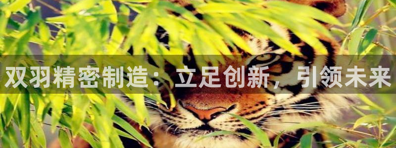 彩神8是正规平台吗知乎：双羽精密制造：立足创新，引领未来