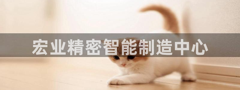 彩神x平台靠什么盈利：宏业精密智能制造中心