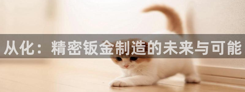 彩神8最新版下载：从化：精密钣金制造的未来与可能