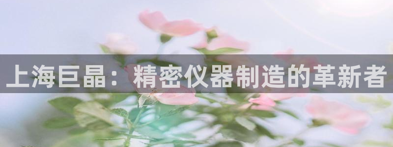 彩神到底能不能赚钱：上海巨晶：精密仪器制造的革新者