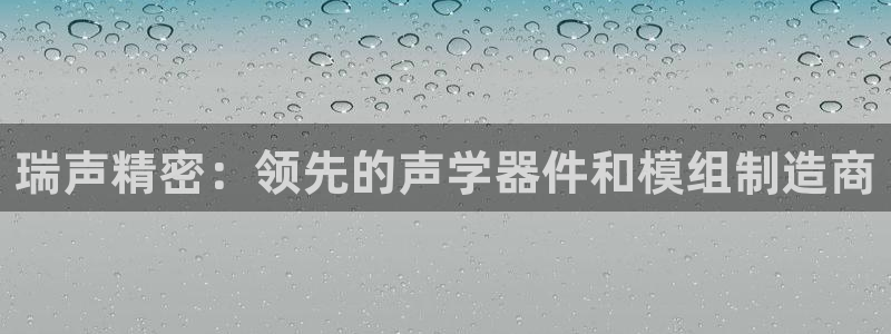彩神大发官网：瑞声精密：领先的声学器件和模组制造商