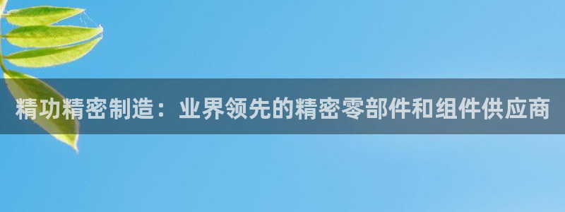 彩神v8是真的挣钱吗安全吗：精功精密制造：业界领先的精密零部件和组件供应商
