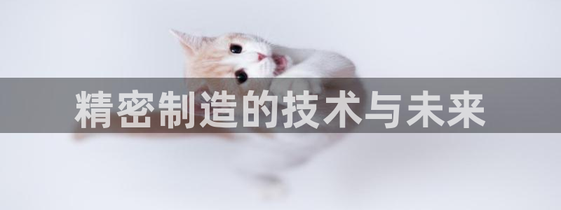 所有彩神购买首页：精密制造的技术与未来