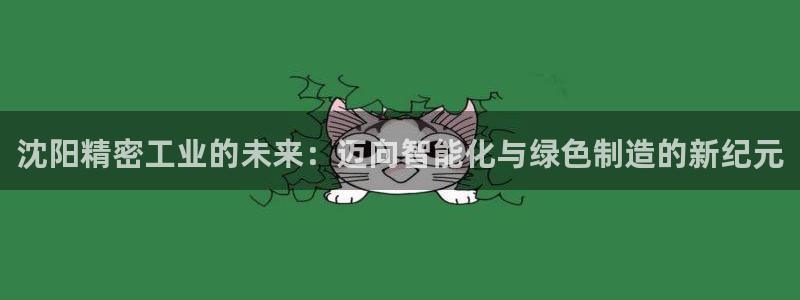 大发彩神争：沈阳精密