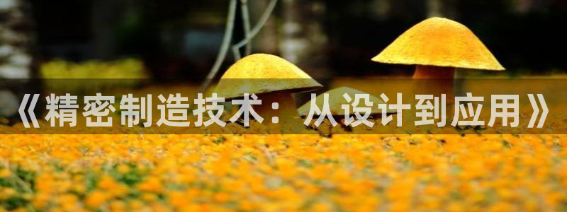 彩神v破解版：《精密