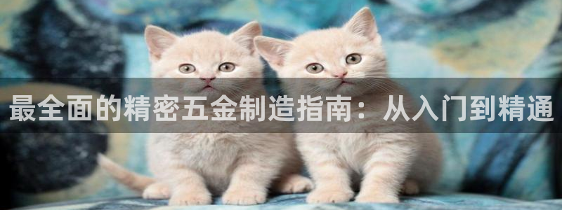 彩神8彩平台官网