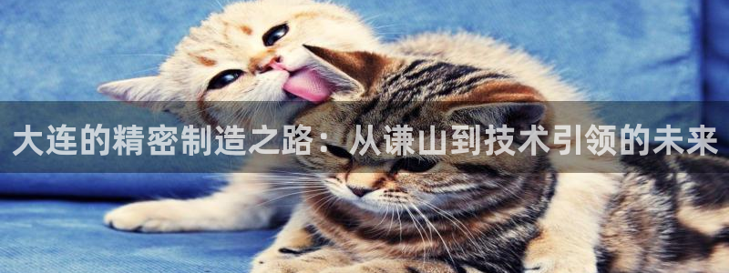 彩神V集团有限公司