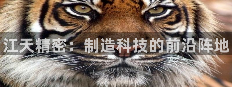 下载彩神通关注金码