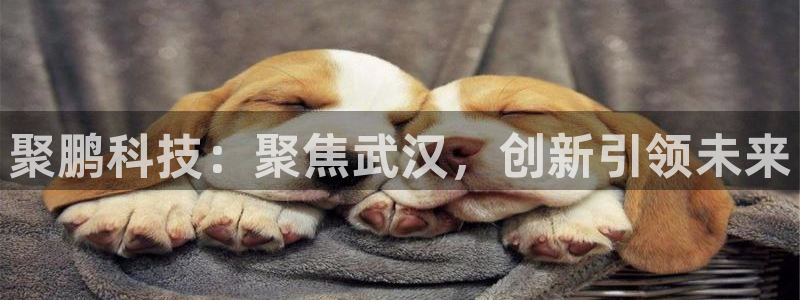 彩神官方邀请码是多少