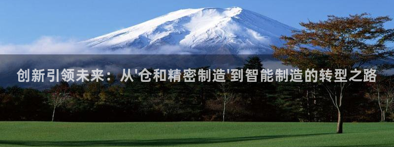 彩神vll首页：创新引领未来：从\'仓和精密制造\'到智能制造的转型之路