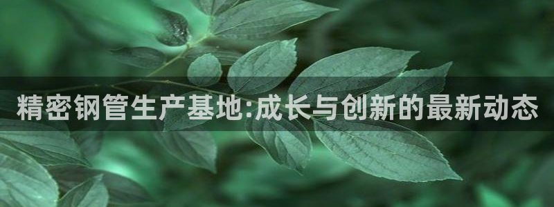 彩神vll官网在线登录：精密钢管生产基地:成长与创新的最新动态