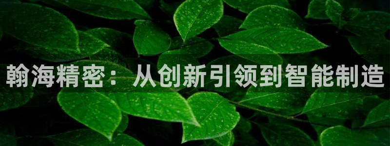 彩神v大众娱乐：翰海精密：从创新引领到智能制造