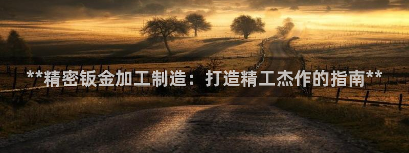 彩神骗局：**精密钣金加工制造：打造精工杰作的指南**