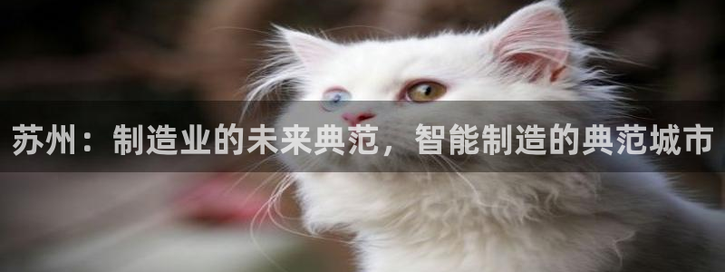 彩神到底能不能赚钱：苏州：制造业的未来典范，智能制造的典范城市