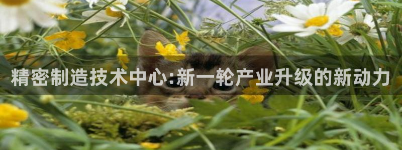 彩神平台能提现吗：精密制造技术中心:新一轮产业升级的新动力