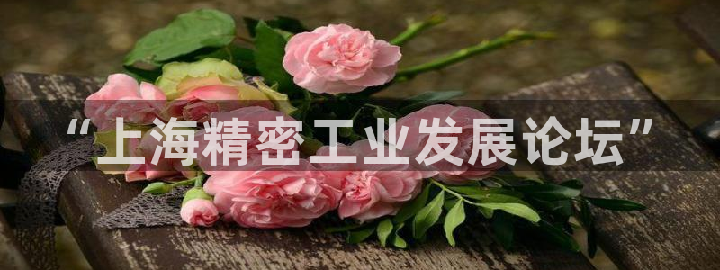 彩神vip官方网站：“上海精密工业发展论坛”