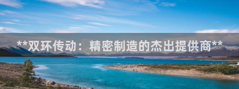 彩神vii官网大赢家：**双环传动：精密制造的杰出提供商**