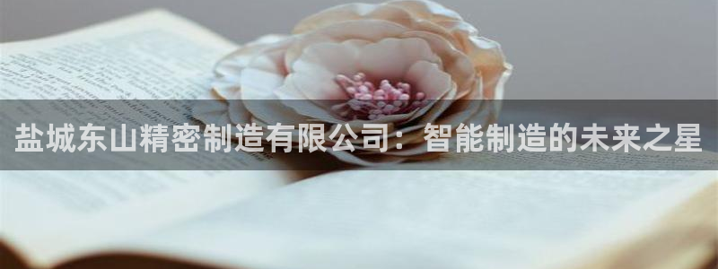 彩神购彩-购彩大厅入口：盐城东山精密制造有限公司：智能制造的未来之星