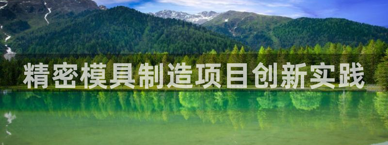 彩神是怎样一个平台赚钱的：精密模具制造项目创新实践