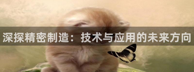 彩神V官网：深探精密制造：技术与应用的未来方向