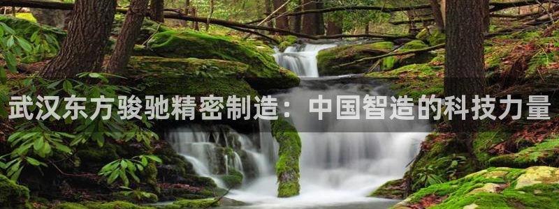 彩神8最新版下载：武汉东方骏驰精密制造：中国智造的科技力量