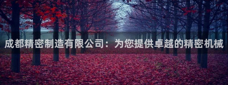 彩神vi官网版：成都精密制造有限公司：为您提供卓越的精密机械