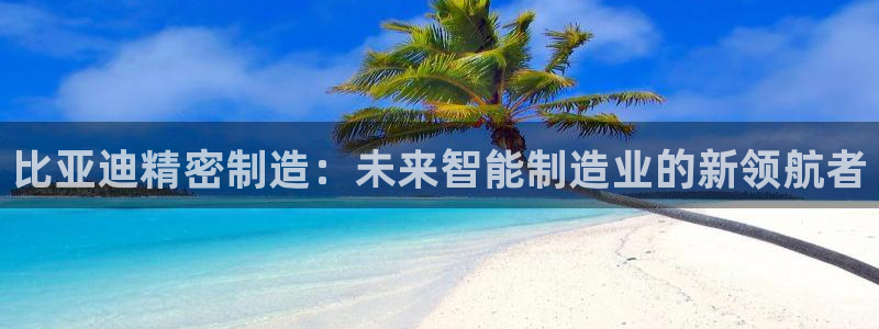 新版彩神v8登录教程：比亚迪精密制造：未来智能制造业的新领航者