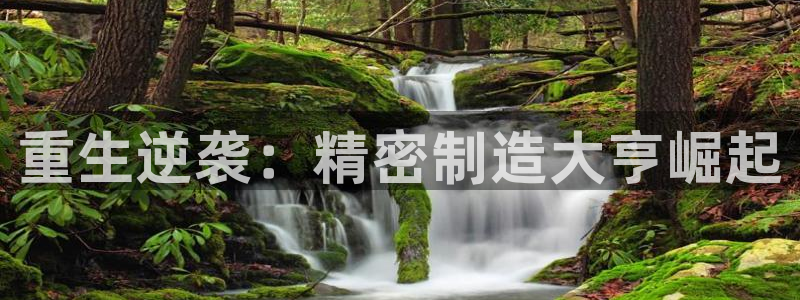 彩神vl购彩大厅：重生逆袭：精密制造大亨崛起