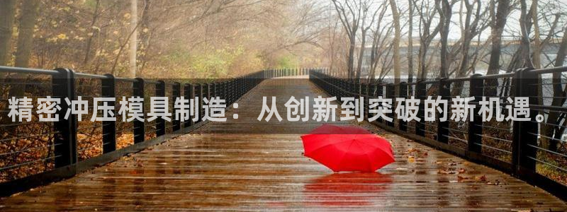 彩神8官网下：精密冲压模具制造：从创新到突破的新机遇。