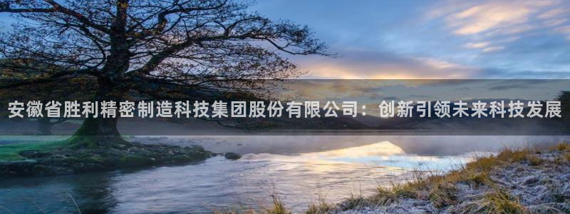 彩神v违法么：安徽省胜利精密制造科技集团股份有限公司：创新引领未来科技发展