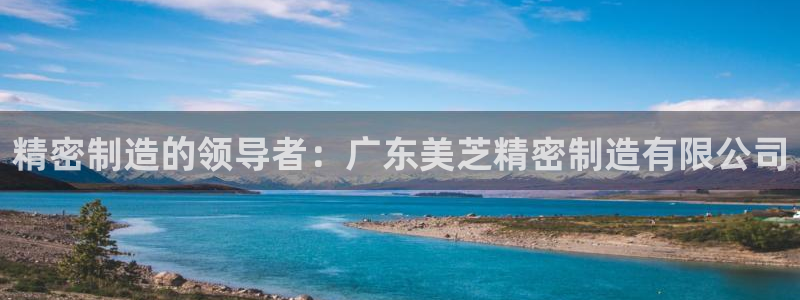 彩神平台之间是什么关系：精密制造的领导者：广东美芝精密制造有限公司