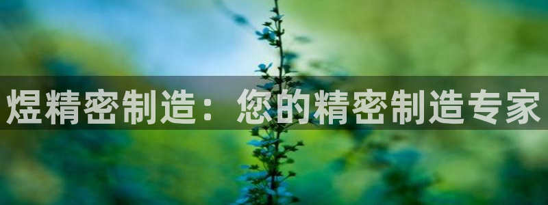 彩神系列平台：煜精密制造：您的精密制造专家