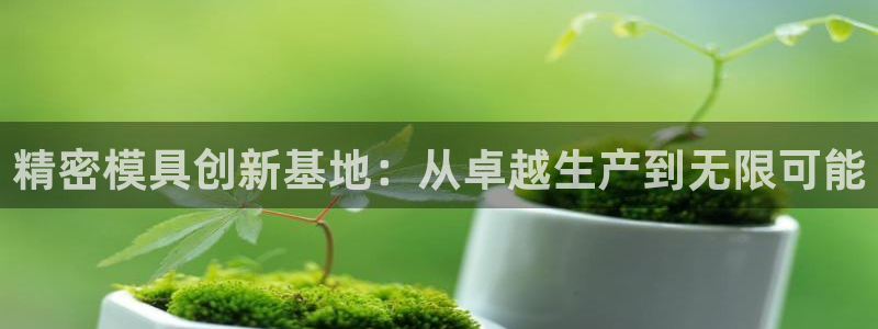 彩神ix官网：精密模具创新基地：从卓越生产到无限可能