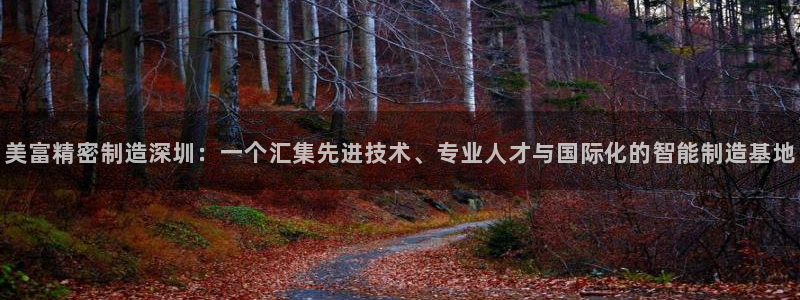 彩神网官网登录：美富精密制造深圳：一个汇集先进技术、专业人才与国际化的智能制造基地