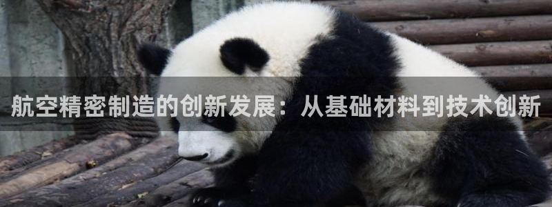 新版彩神v8登录不上去：航空精密制造的创新发展：从基础材料到技术创新