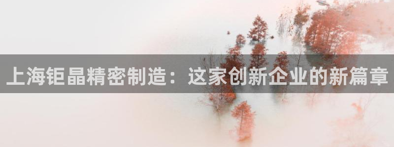 彩神争霸老平台：上海钜晶精密制造：这家创新企业的新篇章