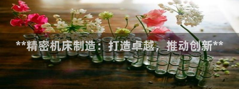 彩神v|：**精密机床制造：打造卓越，推动创新**